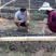 蚯蚓养殖教学全国上门指导终生回收签订合同