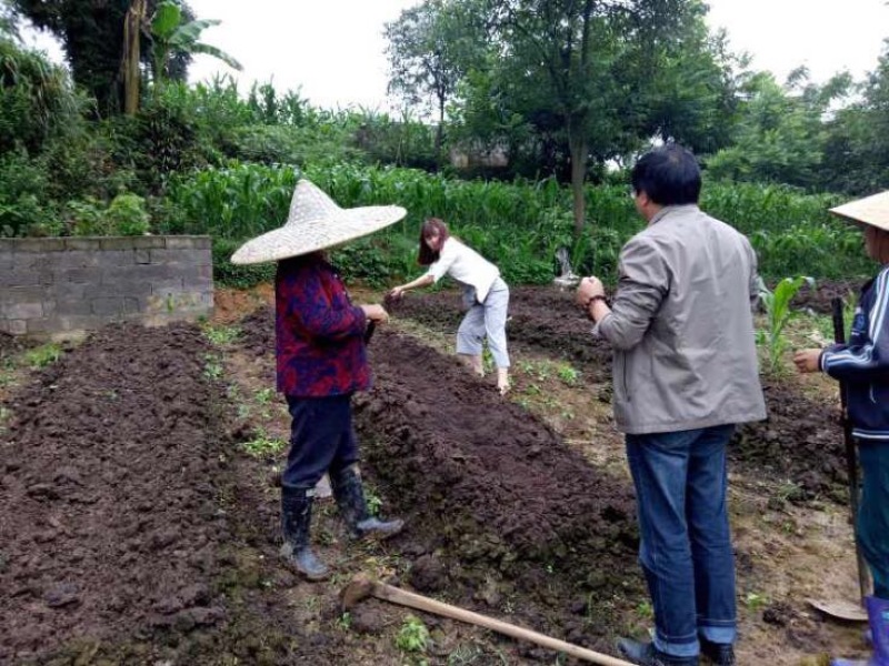 蚯蚓养殖教学全国上门指导终生回收签订合同