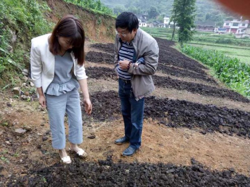 蚯蚓养殖教学全国上门指导终生回收签订合同