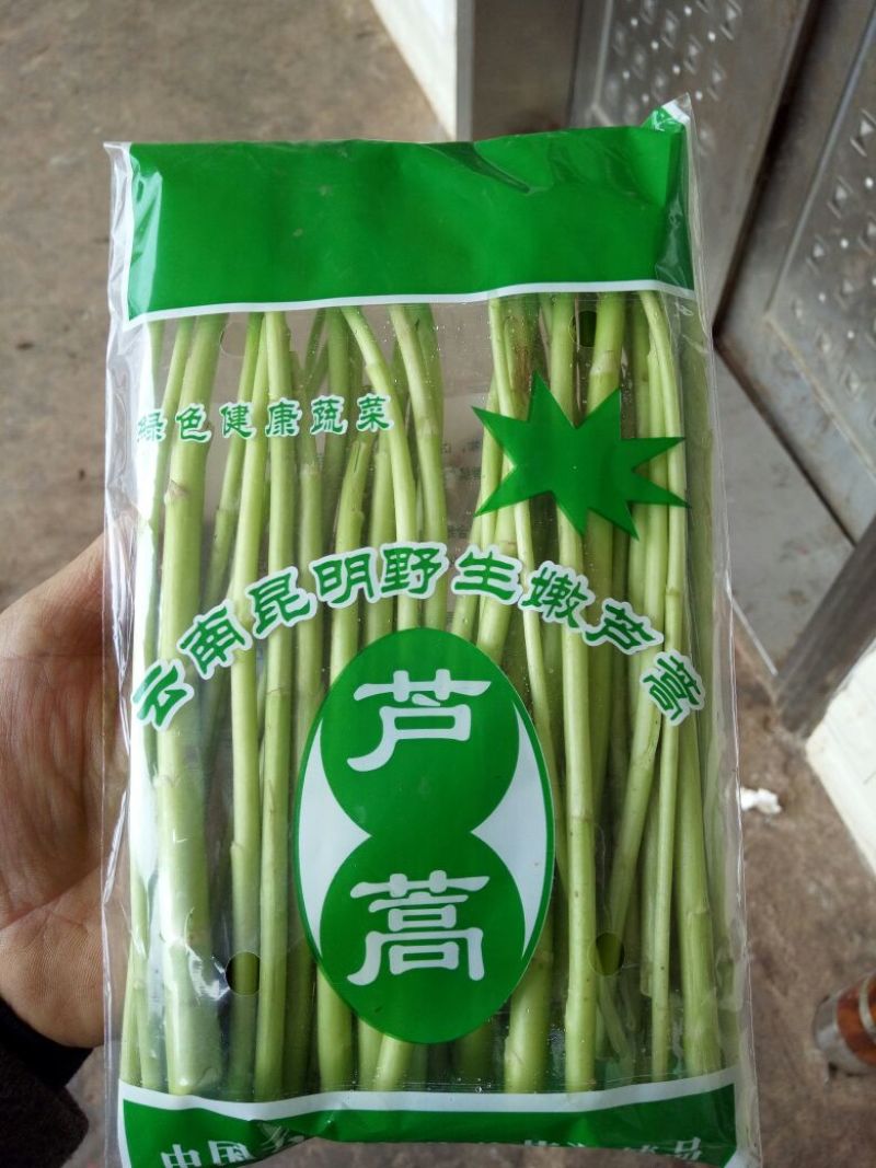 芦篙
