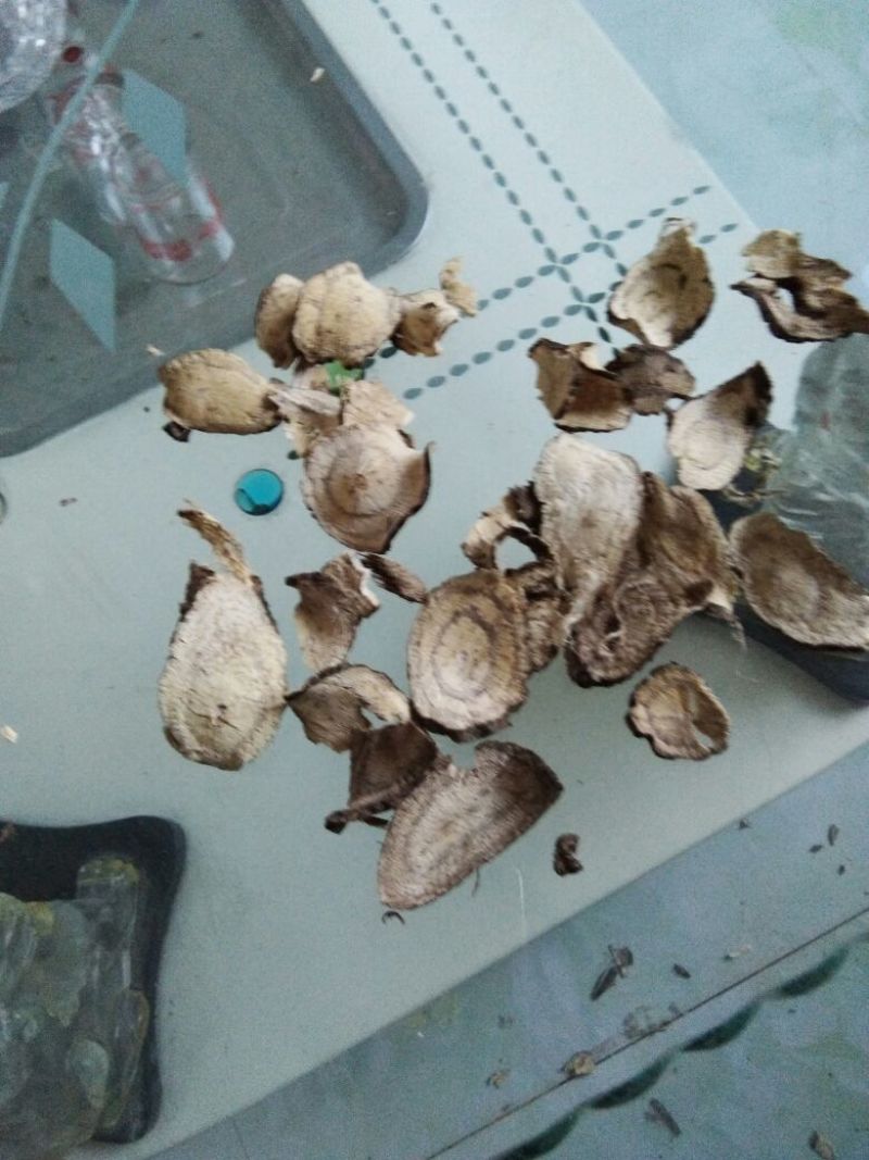 葛根片，切片新货野生葛根片，批发十斤起售欢迎订购