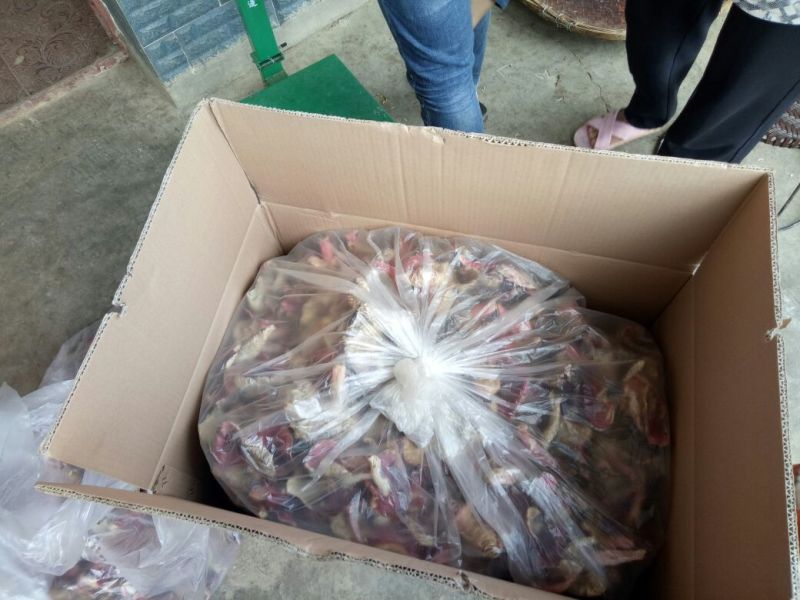 大红菌特级