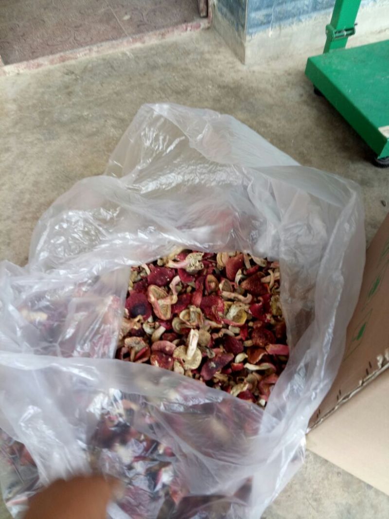 大红菌特级