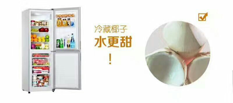 椰子9个一箱50元