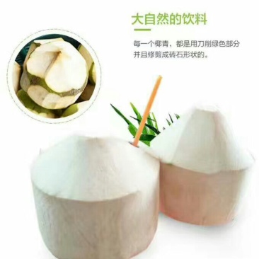 椰子9个一箱50元