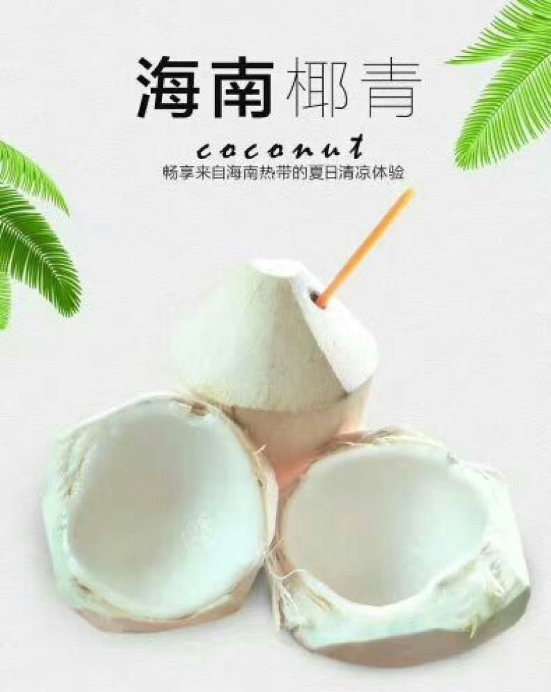 椰子9个一箱50元