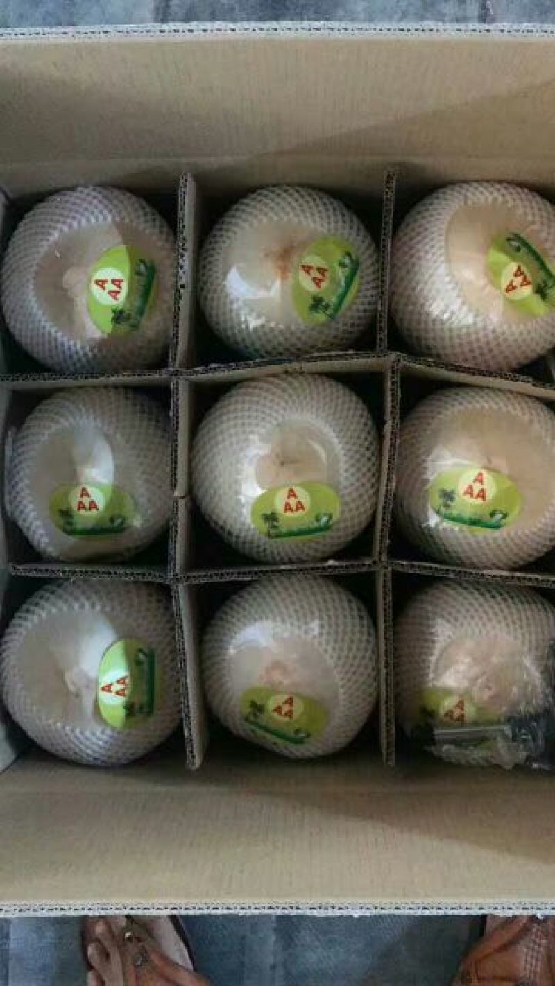 椰子9个一箱50元