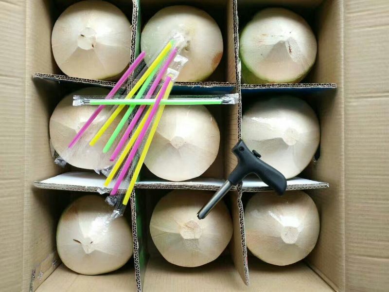 椰子9个一箱50元