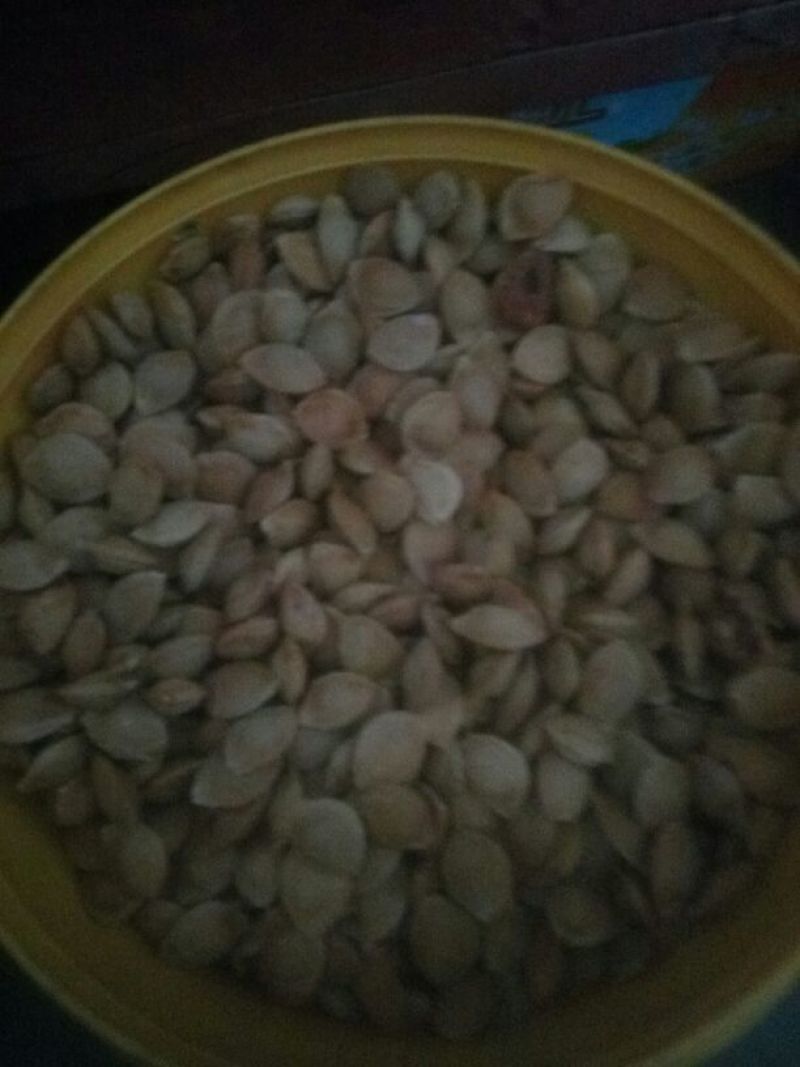 甜杏仁特级