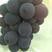 夏黑葡萄1.5~2斤5%以下