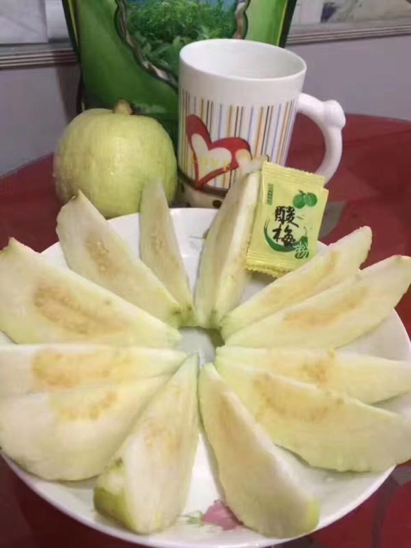 番石榴苗30~50cm，现挖现发货，保障质量