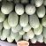 长香玉哈密瓜3斤以上长形