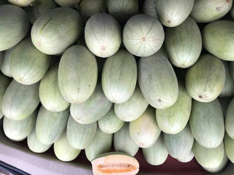 长香玉哈密瓜3斤以上长形