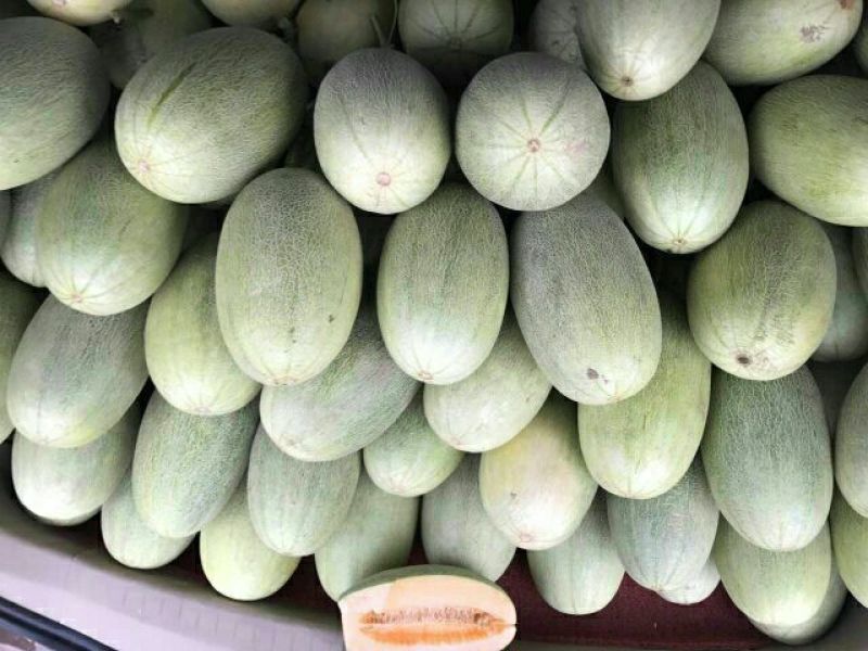 长香玉哈密瓜3斤以上长形
