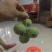 香玲核桃苗100~150cm一年苗