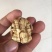 香玲核桃苗100~150cm一年苗