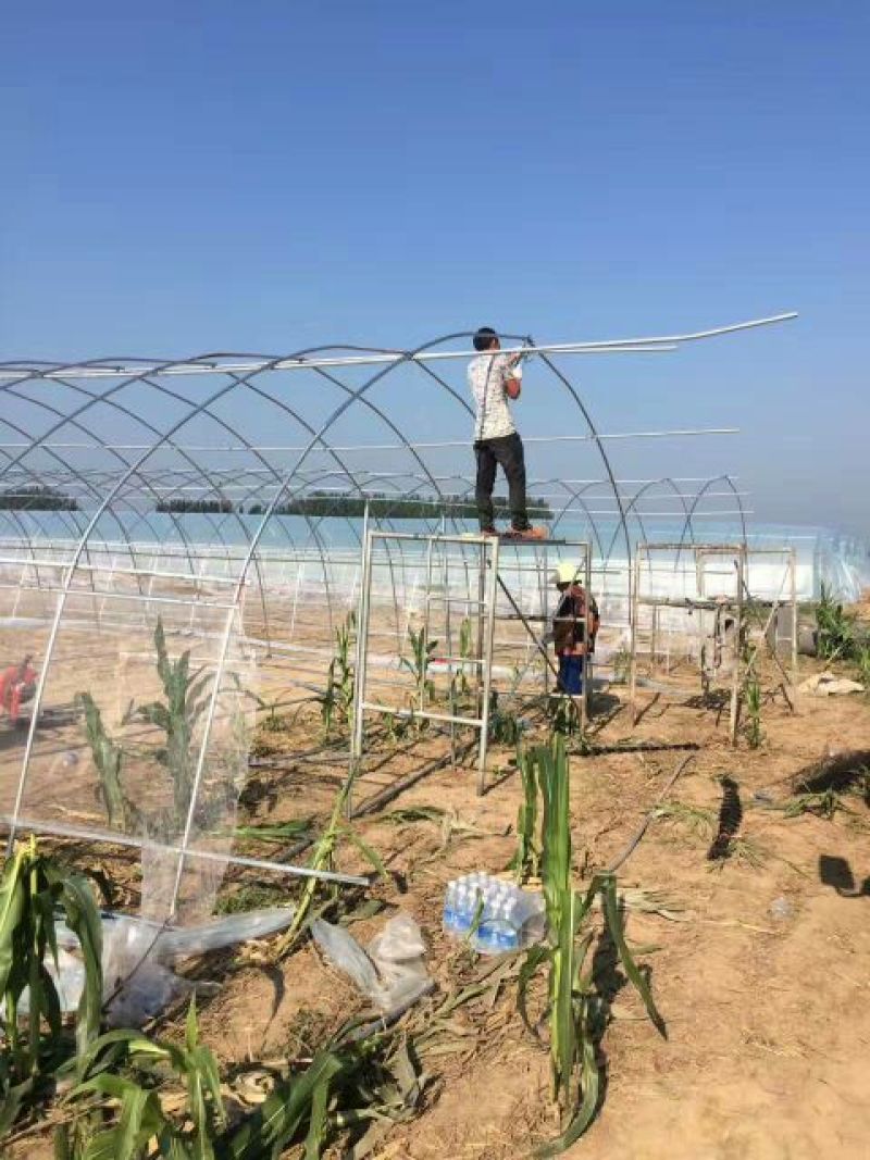 无支柱大棚骨架PVC