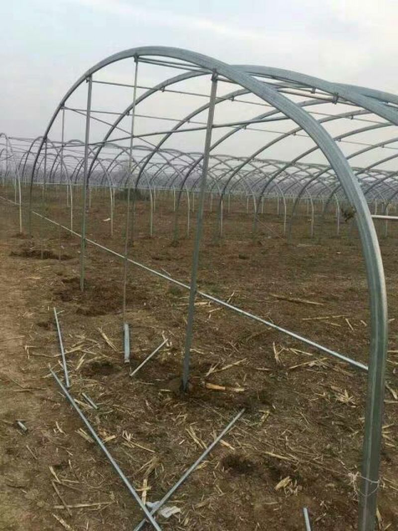 无支柱大棚骨架PVC