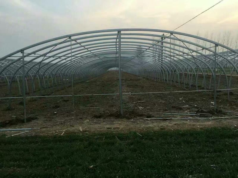 无支柱大棚骨架PVC