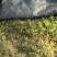 1.2米宽防草布除草布PE聚乙烯材