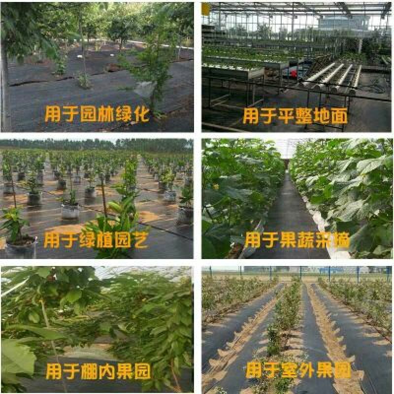 1.2米宽防草布除草布PE聚乙烯材