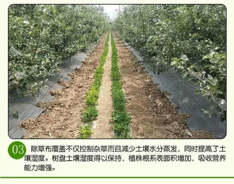 防草布1.5米宽300米长