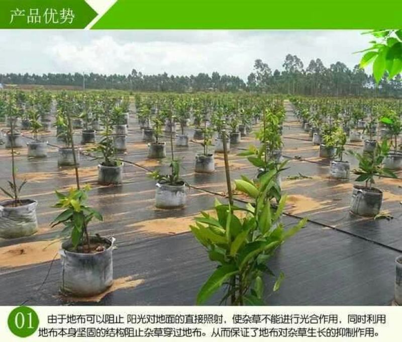 防草布1.5米宽300米长