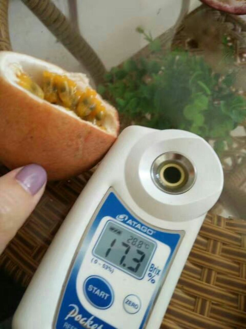 百香果60~70g紫果