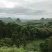 百香果60~70g紫果