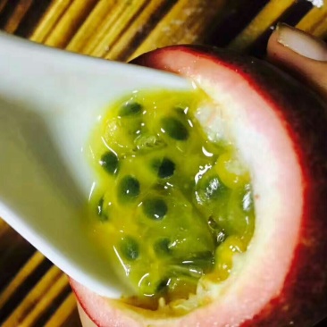 百香果60~70g紫果