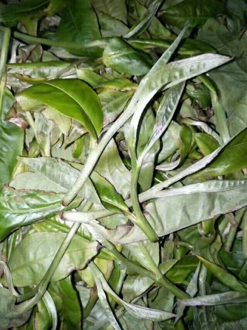 普洱茶一级