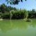 生态甲鱼2~2.5斤