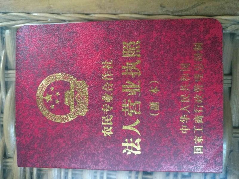 生态甲鱼2~2.5斤