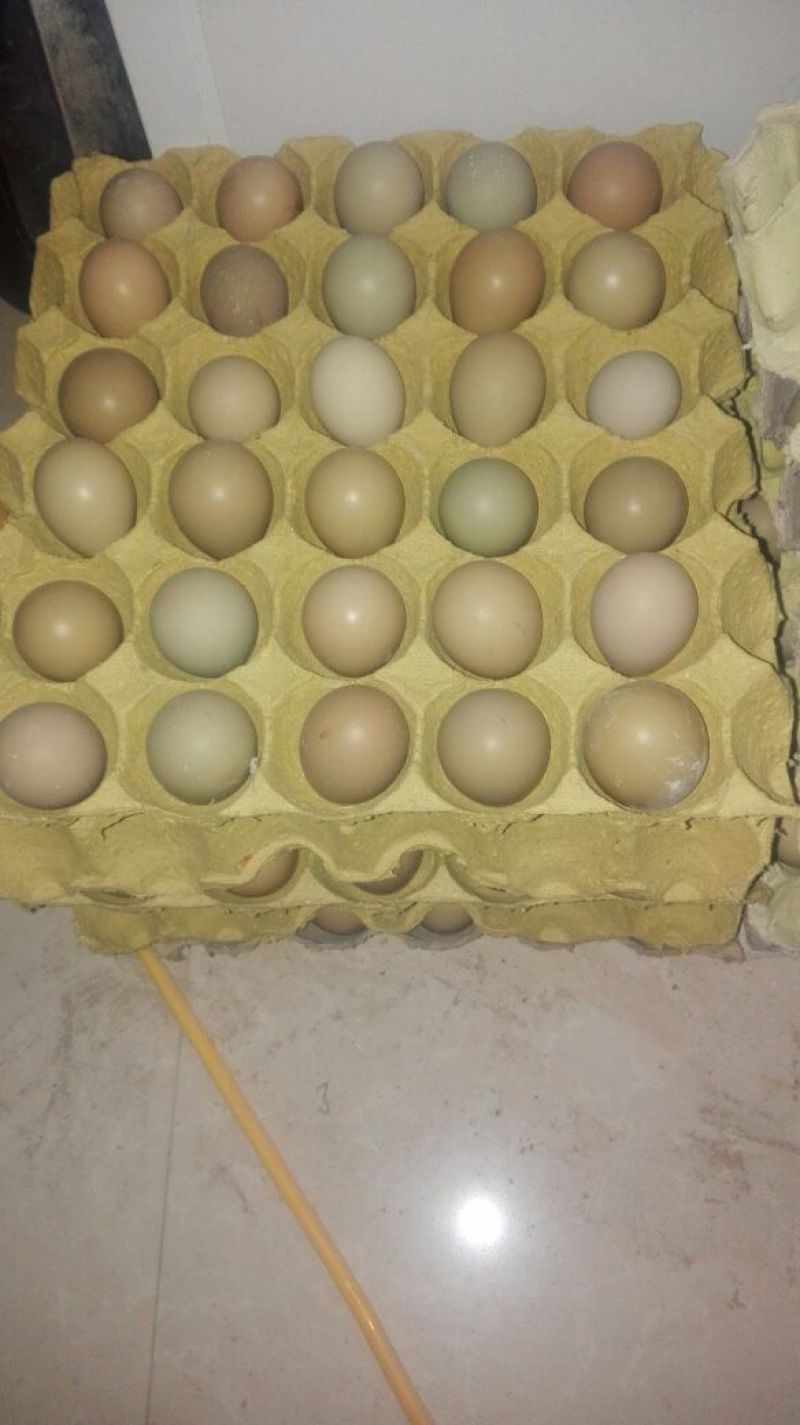 野鸡蛋食用50g以下