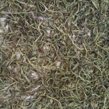 百年大树茶一级