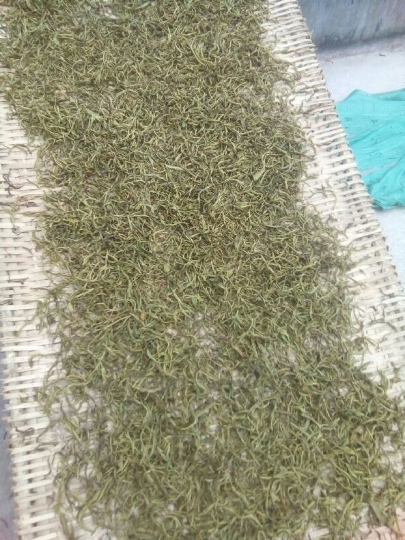 百年大树茶一级