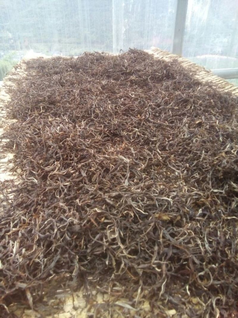 百年大树茶一级