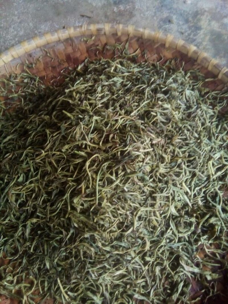 百年大树茶一级