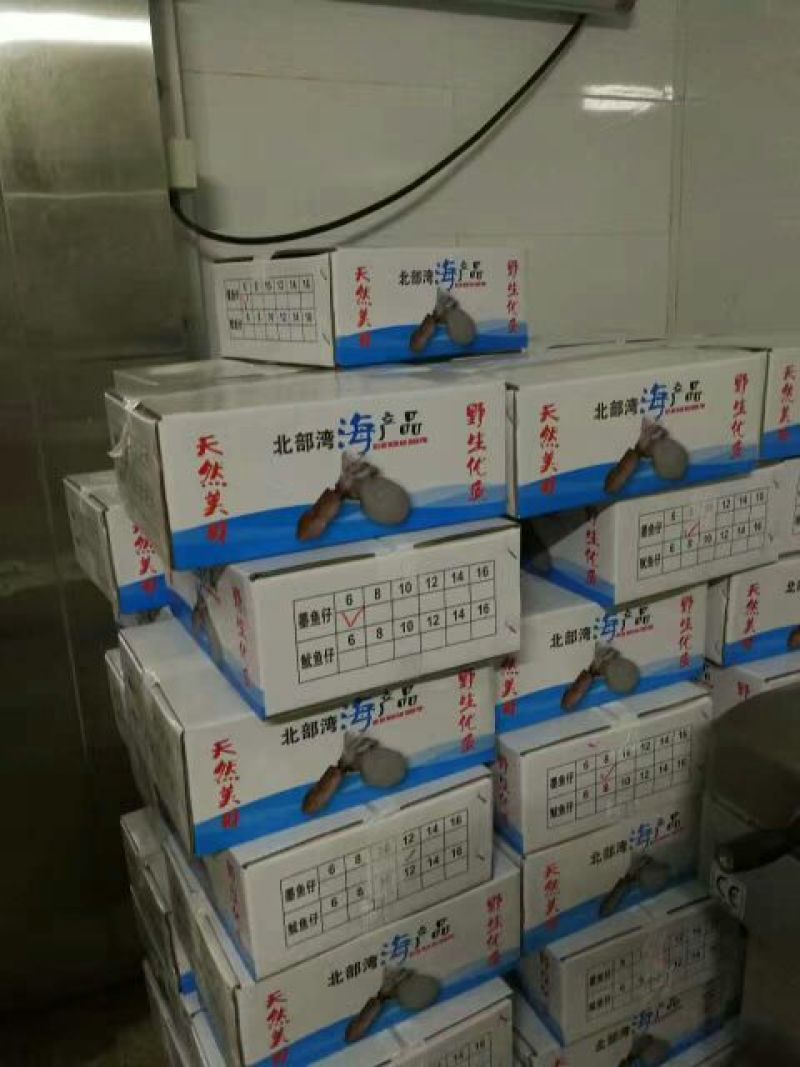 墨鱼仔