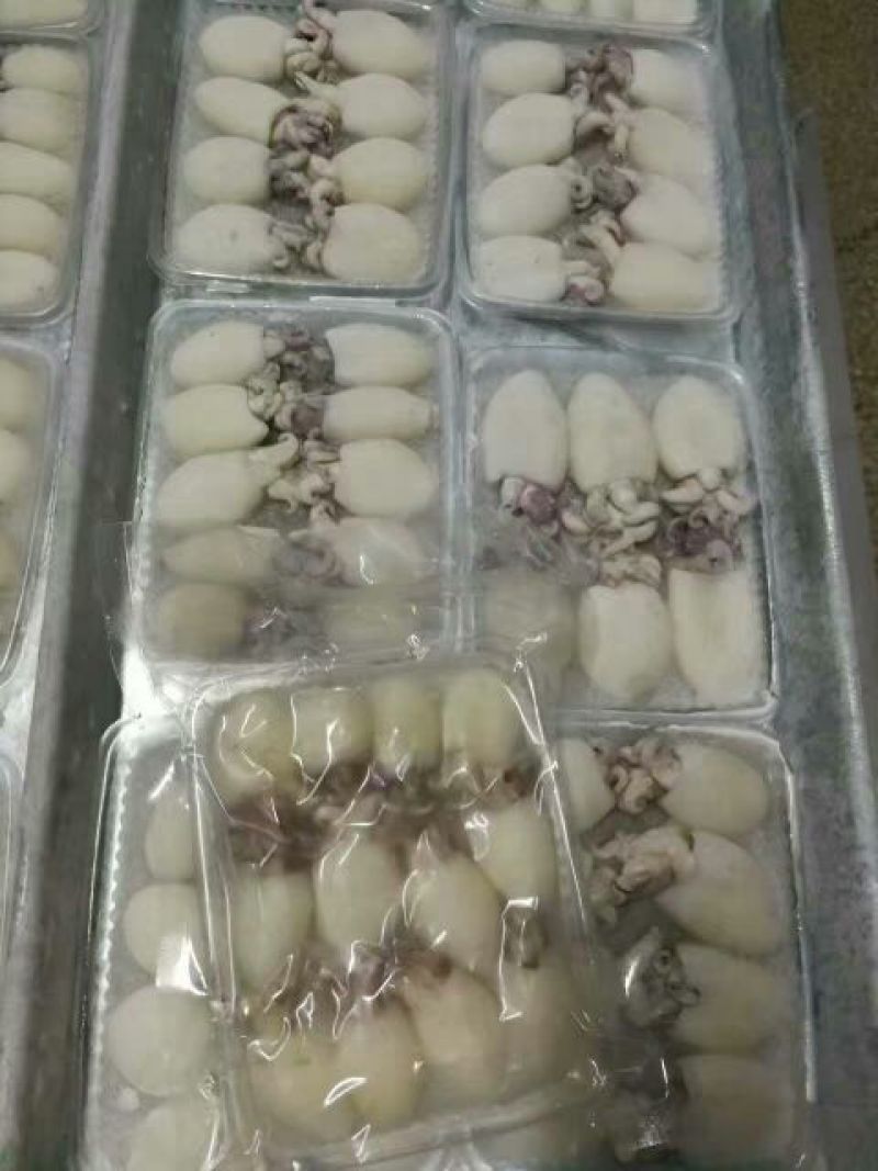 墨鱼仔