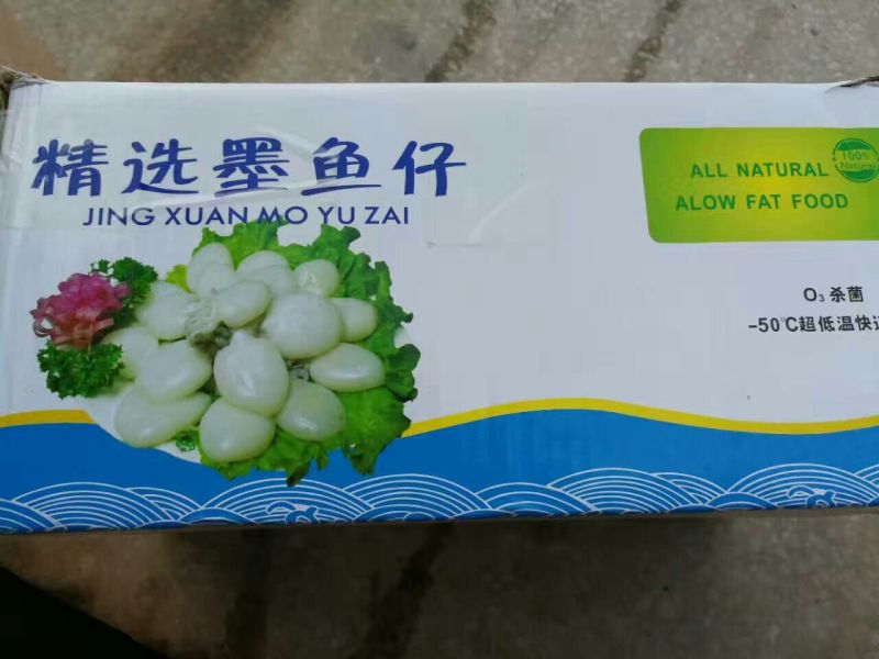 墨鱼仔
