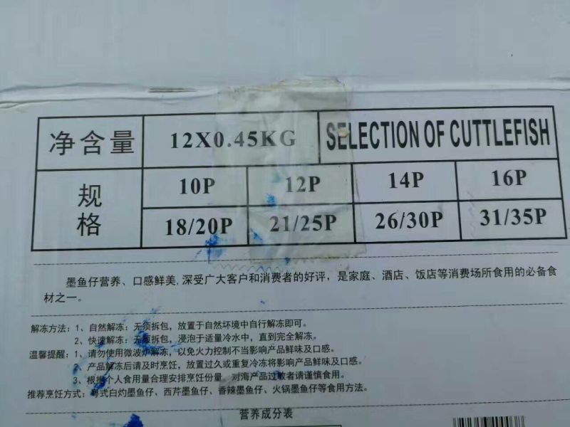 墨鱼仔