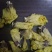 黄秋葵干花