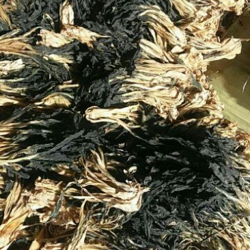 夏季新货产地直销散菜梅干菜白菜干（包邮）