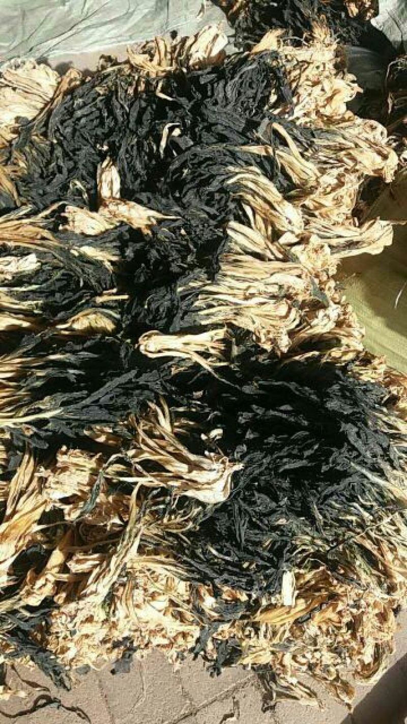 夏季新货产地直销散菜梅干菜白菜干（包邮）