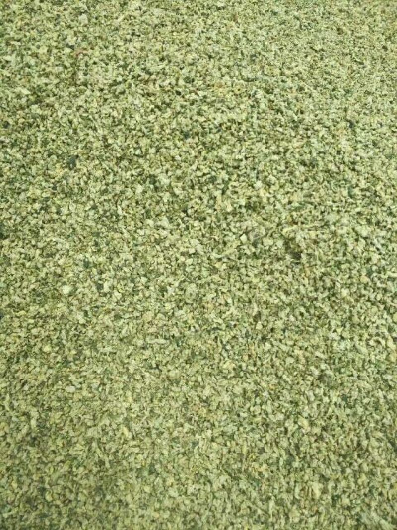 荷叶茶特级