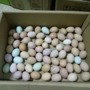 土鸡蛋食用50g以下