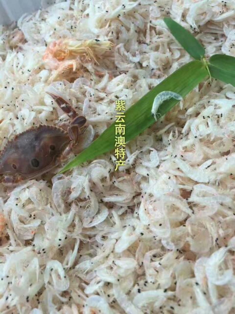 虾皮特级