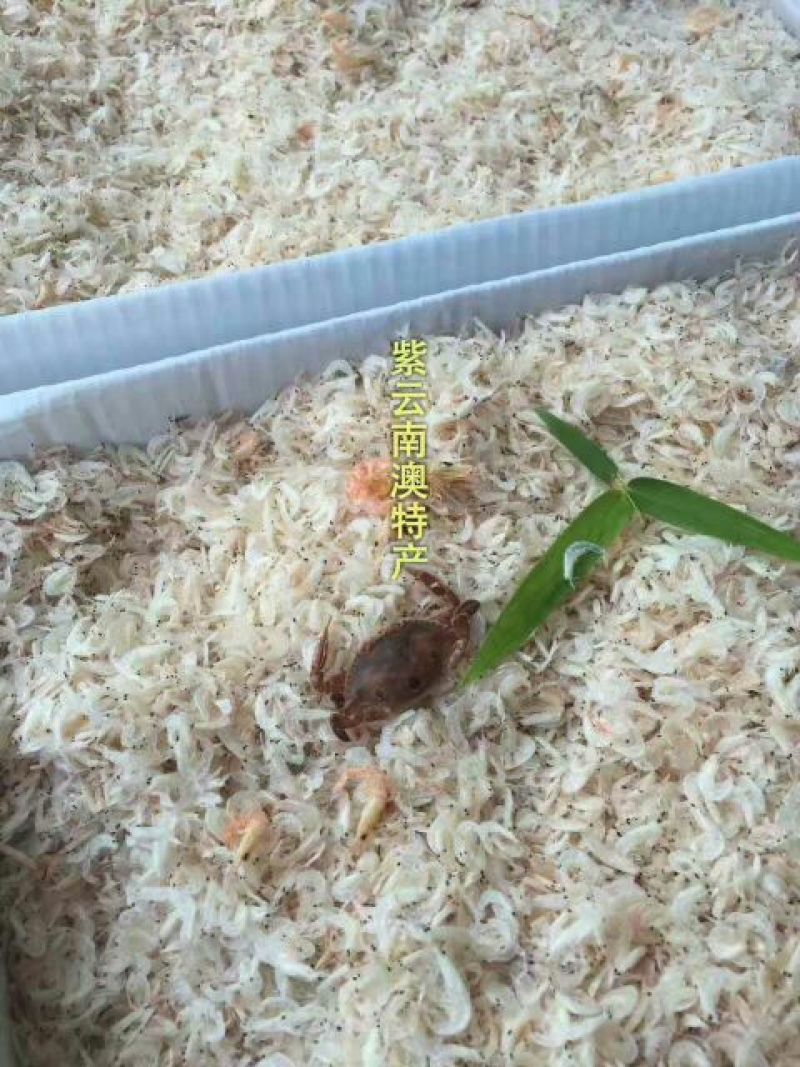 虾皮特级