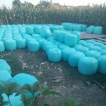 奶牛饲料羊饲料青促饲料产地直销